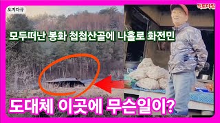 모두떠난 봉화 첩첩산골 구순의 화전민에게 도대체 무슨일이?