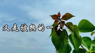 日子渺小重复，却都是幸福。