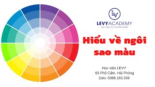 Hiểu về ngôi sao màu, độ mạnh của màu và ứng dụng ngôi sao màu | Học viện tóc LEVY