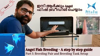 Part 1: Angel Fish ബ്രീഡിങ് ടാങ്ക് സെറ്റ് ചെയ്യേണ്ടത് എങ്ങിനെ? || Angel Fish Breeding Simple Guide