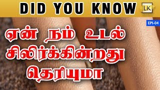 ஏன் நமக்கு சிலிர்க்கிறது  /புல்லறிக்கிறது ??  | GOOSE BUMPS | Little Karur Did You Know | EPS-04