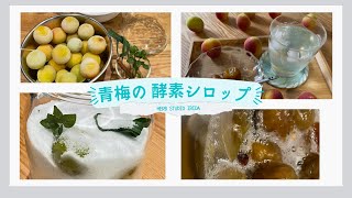 青梅で酵素シロップ作り