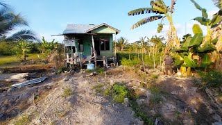 WADUH‼️PAK SLAMET PEMILIK LAHAN MENDATANGI PETANI RANTAU ADA APA INI!! TRANSMIGRASI SEPUNGGUR