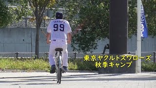 東京ヤクルトスワローズ秋季キャンプ2018@松山③　(野手陣、投手陣別の練習。高津二軍監督のサイクリング)