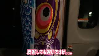 家の中も、車の中も、そして私の頭の中も1年中、鯉のぼりでいっぱいです！