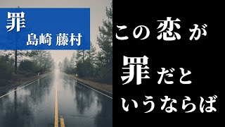 【睡眠用朗読】「罪」島崎藤村【寝落ち】