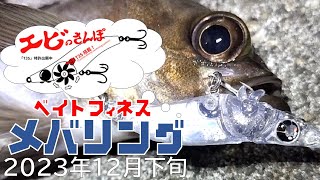 エビのさんぽdeベイトフィネスメバリング作戦4(亀川漁港/大分/別府湾)(2023年12月下旬)VLOG