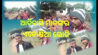 ଆଦିବାସୀ ମାନଙ୍କର ଏ କୋଷିଆ ଭୋଜି//#kandhamalpila #youtube #vlog