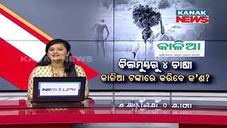 Odisha Farmers To Get Rs 2000 Under KALIA Scheme | Reaction Of Farmer