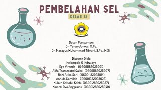 Media Pembelajaran: Materi Pembelahan Sel, PPT Interaktif Pembelahan Mitosis dan Quizizz