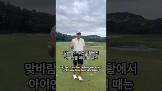 PGA 선수들이 맞바람이 불 때 꼭 하는 ‘그 것’ / 필리핀골프아카데미 / 카톡: icgagolf