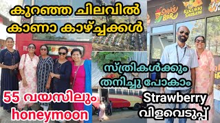 ksrtc one day trip | munnar marayoor kanthaloor | munnar tour package