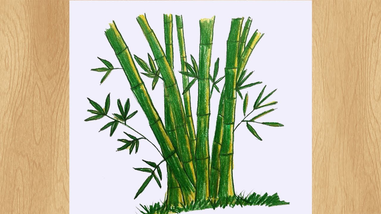 How To Draw A Bamboo Tree I Bamboo Tree Drawing Tutorial - YouTube