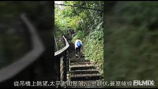 2022.08.03. 嘉義梅山鄉太平社區鬱鬱蒼蒼的孝子路步道