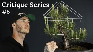 Bonsai-En Critique Series Ep 5 - Helping Viewers With Their Bonsai