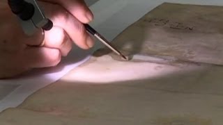 Magna Carta Conservation Treatment