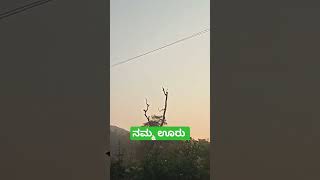 ನಮ್ಮ ಊರು