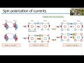 Online Spintronics Seminar #115: Ding-Fu Shao