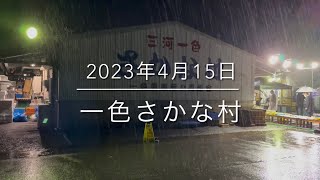 【大漁鮮魚激安販売】日本一安い『超高級魚』朝市しか買えない魚