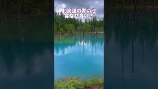 北海道の青い池はなぜ青いの？#観光スポット