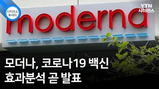 모더나, 코로나19 백신 효과분석 곧 발표 / YTN 사이언스