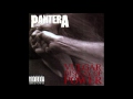 pantera walk audio