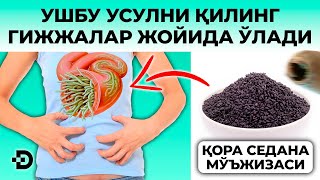 ДИҚҚАТ! УШБУ УСУЛДАН КЕЙИН ГИЖЖАЛАР СИЗНИ БИР УМР БЕЗОВТА ҚИЛМАЙДИ.