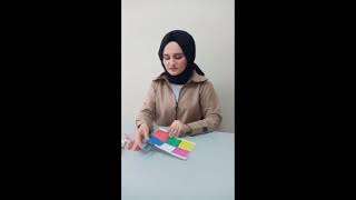 Renk Eşleme Çalışması ı|ı Özel Eğitim ve Rehabilitasyon Videoları