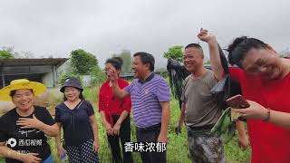 老兵房车慢生活，露营山水田园边，临近中秋，享受夜晚的宁静真好