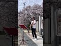 桜の木下で「村下孝蔵」 shorts