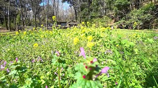 都筑中央公園から鴨池まで