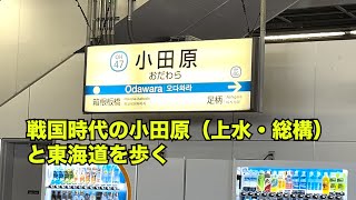 【歴史探訪】戦国時代の小田原（上水・総構）と東海道を歩く