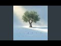 Elm