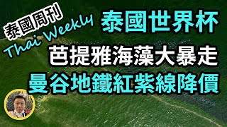 【泰國周刊 • 社會】泰國有意聯手東盟申辦世界杯，曼谷地鐵紅紫線降價，打拋豬肉被評為全球最佳