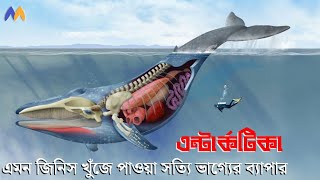 শুধুমাত্র এন্টার্কটিকা মহাদেশেই এমনটা হওয়া সম্ভব | এন্টারটিকা মহাদেশ কেন এত রহস্যময় | mahajagat