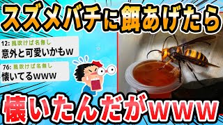 【2ch面白いスレ】スズメバチ捕まえたｗ