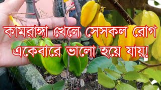 জলবসন্ত বক্রকৃমি জ্বর সর্দি কাশি ও ঠান্ডা দৌড়ে পালাবে এই কামরাঙ্গা খেলে ! কামরাঙ্গার উপকারিতা