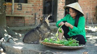 Món ngon từ bầu mùa hè/ Bầu hấp tôm thịt/ Đọt bầu xào tỏi/An Đen