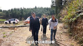 Huanong Brothers: On proper handling of trees infected with pine wood nematode to contain the spread