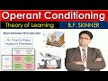 Operant Conditioning Theory of Learning | Skinner Operant Conditioning Theory | Education Talks