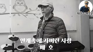 안개속으로 가버린 사랑/배 호 #33#트로트