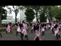 【公式】有閑踊り子一座飛舞人　君がため　原宿スーパーよさこい　ＮＨＫ前ストリート2日目