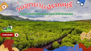 วนอุทยาน ปราณบุรี เส้นทางเดินศึกษาธรรมชาติป่าชายเลน Pranburi Forest Park#หัวหิน #ปราณบุรี #4k