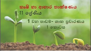 11 ශ්‍රේණිය - කෘෂි හා ආහාර තාක්ෂණය - ශාක ප්‍රචාරණය  - Part 1| Grade 11 | Agriculture | agri school