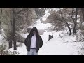 bc cordarious trenches official music video