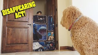 MY DOG DOESN'T CARE ABOUT ME!!! What the Fluff Challenge + Making 4th of July Desserts!