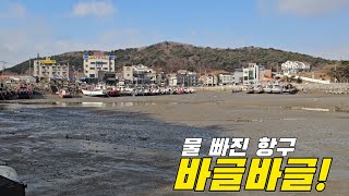 어민들만 잡는다는 물빠진 항구?! +먹방