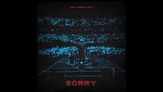 Alan Walker & ISÁK - Sorry (Instrumental)