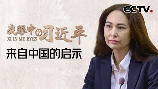 来自中国的启示 | CCTV「我眼中的习近平」