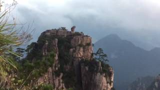 黃山日出.靈猴觀雲海（魏老師旅遊日誌）